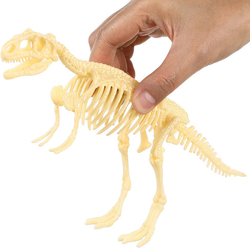 NUOLUX 3Pcs 4D Dinosaur Fossil Skeleton Toys