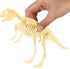 NUOLUX 3Pcs 4D Dinosaur Fossil Skeleton Toys