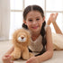 Apricot Lamb Toys Plush Yellow Lion Stuffed Animal, Soft Cuddly, Perfect for Child (8 Inches)