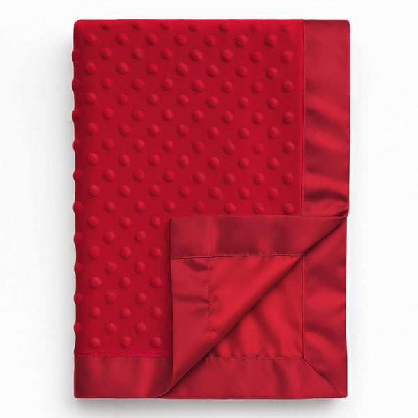 Pro Goleem Baby Soft Minky Dot Blanket with Silky Satin Backing Baby