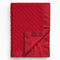 Pro Goleem Baby Soft Minky Dot Blanket with Silky Satin Backing Baby