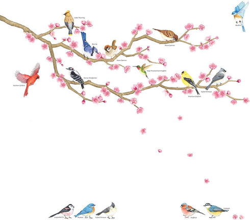DECOWALL DWL-2009 Garden Birds and Cherry Blossom Wall Stickers, Peel and Stick Removable Decals for Kids Nursery &