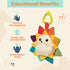 B. toys- B. baby Musical Light-Up Hedgehog Toy with Lights & Sounds - Sensory Toy for Newborns and Babies