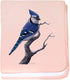 CafePress Blue Jay Bird Baby Blanket, Super Soft Newborn Swaddle
