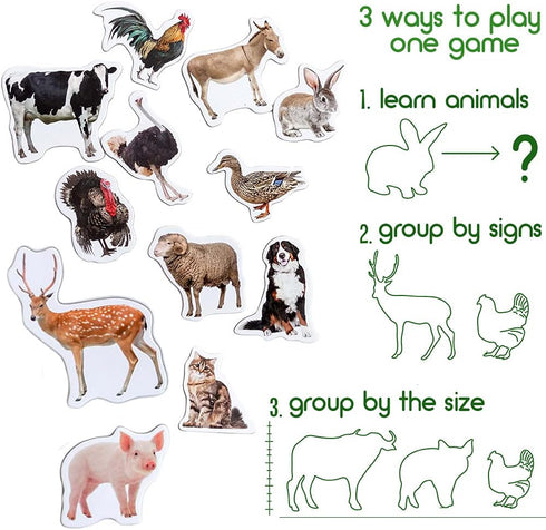Fridge Magnets for Toddlers - Magdum, 16 Farm Animal Magnets for Refrigerator, Educational Gift for Kids