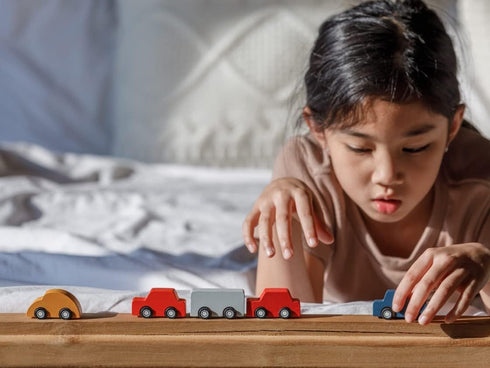 PlanToys Mini Car Set (6286)