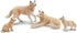 8PCS Toymany Wolf Figures Forest Animals Toy Figurines - Realistic Jungle Zoo Animal FigurinesEducational Toy Cake
