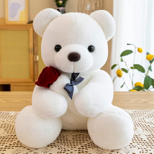 Teddy Bear Plush Stuffed Animal - Valentines Day Gift with Rose, 9.84 inches, White