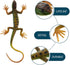 NUOBESTY Lizard Figurine Fake Plastic Lizard Toy Action Figure, Reptile Toy for Collection and Education (Green)