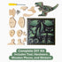 Little Jupiter DIY Wooden Kit with Stickers - Dinosaur Toys for Kids 7-12 Yrs, Wood Crafts for Kids (T-Rex)