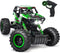 DOUBLE E 1:14 Scale Large Remote Control Car Monster Trucks with Head