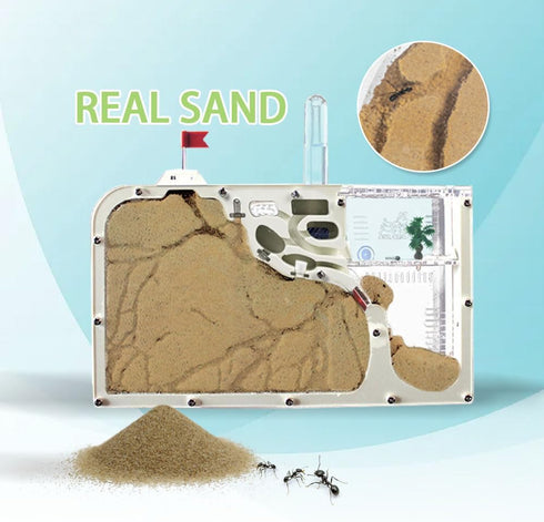 Ant Farm Castle - Ant Farms with Yellow Sand and Tool Kit, Ant Colony Observation Kit for Kids, Educational Science Kit