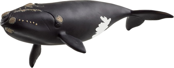 schleich Wild Life - 7 North Atlantic Right Whale Toy with Realistic
