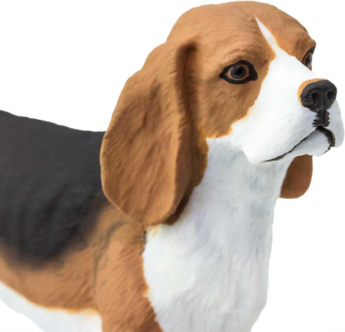 2.5" 3+ Safari Ltd. Beagle Figurine - Detailed Plastic Model Figure - Fun Educational Play Toy for Boys, Girls & Kids