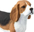 2.5" 3+ Safari Ltd. Beagle Figurine - Detailed Plastic Model Figure - Fun Educational Play Toy for Boys, Girls & Kids