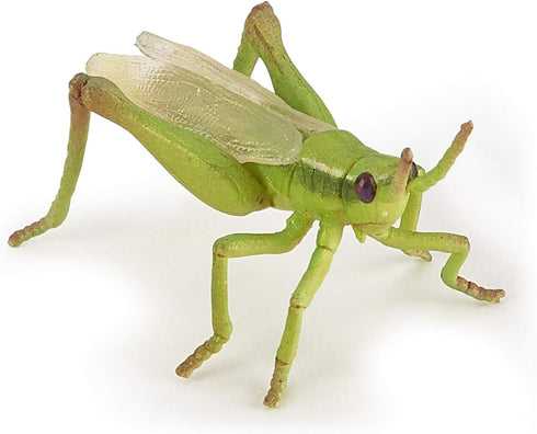 Papo Hand-Painted Wild Animal Kingdom Grasshopper Figurine 50268, Collectible for Children 3+
