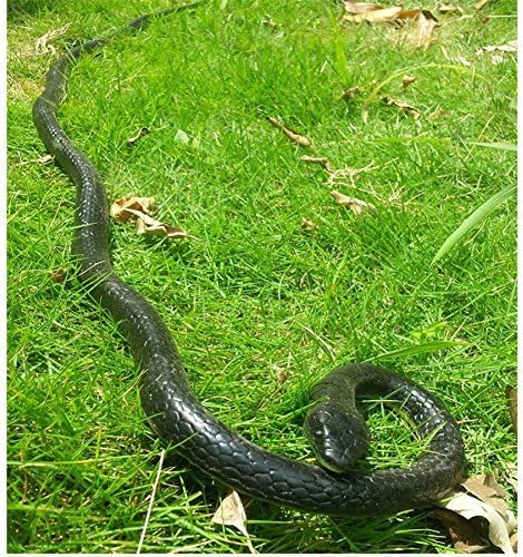 Paialco Realistic Rubber Snake Toy, 52 Inch Long (Black)