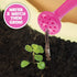 My Fairy Garden Nature Cottage Toy Figurine and Plant Kit - Grow Your Own Magical Garden with Fairy Isla, Ages 4+