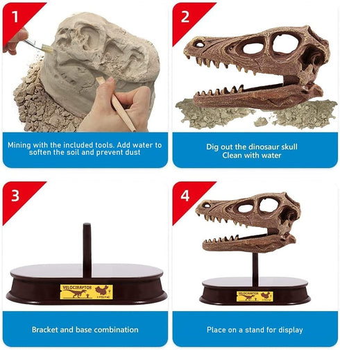 ArtCreativity Dinosaur Excavation Kit for Kids, Velociraptor Skull Excavating Set, Educational Dinosaur Gift