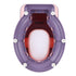 Ergonomic Pinkish Toddler Potty Training Toilet with Detachable Design