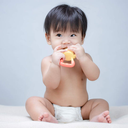 Stand-Up Teething Toys for Babies 0-12 Months, Teethers with 2 Baby Fruit Feeders and 4 Baby Teether, BPA Free