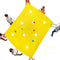 Sonyabecca Hole Tarp Team Building Exercise Activities Games Teamwork Group Learning Fun Playing