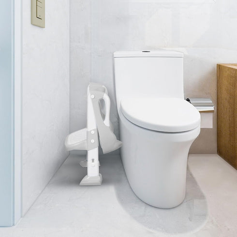 Potty Training Seat with Step Stool, Toddler Toilet Seat w/Ladder, Potty Training Chart, Splash Guard & Upgraded