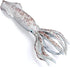 Gemini&Genius Squid Toy for Kids - Marine Animal Ocean World Toy Figure - 6 Inches Length Sea Animal Action Figure