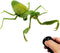 Tipmant RC Praying Mantis Toy, IR Remote Control Animal, Realistic Insect Car for Kids Birthday Gifts