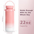 harringron 2 Pack 22oz 24 Portable Bottle Cooler for Breastmilk Travel Breastmilk Cooler Reusable Portable Chiller