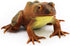 Gemini&Genius Tree Frog Realistic Hand Painted Toy, Backyard Decor, Carnival Game, Educational Gifts for Ages 3+