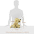 LotFancy 12 Inch Dog Stuffed Animals, Cuddly Golden Retriever Sitting Puppy Plush Toy