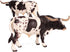 Flormoon Realistic Texas Longhorn Bull Animal Figures, Plastic Early Educational Toys Cupcake Topper for Kids