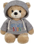 Ganz 9 Get Well Teddy Bear, Stuffed Animal with Gray Hoodie for Comfort and Love.