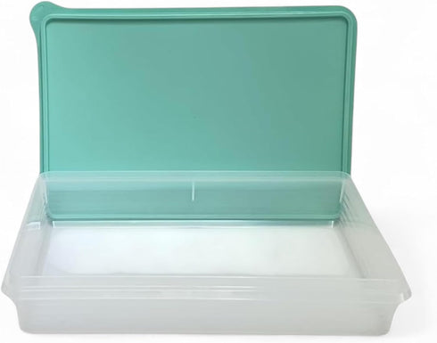 Tupperware Snack-Stor Large in Mint Ice Cream Color