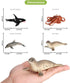 Volnau Sea Creature Toys Figures 8PCS Antarctica Ocean Animals for Toddlers, Christmas Decoration Gift