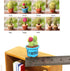 7 in 1 Dollhouse Decoration, Miniature Green Potted Plant Pots, 1:12 Scale Doll House Bonsai Model Accessories (7