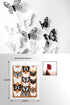 Butterfly Wall Stickers Decal - 36 PCS 3D Black and White Butterfly Stickers with Adhesive for Baby Kids Bedroom
