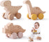 Wooden Dinosaur Cars Montessori Toys, Baby Push Car Toys, Developmental Infant Grasping Toys (3PCS)