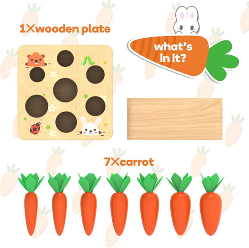 Montessori Toys for 1 Year Old, Carrots Harvest Wooden Baby Toys for 6-12 Months, Educational Shape Sorting