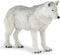 Papo Hand-Painted Figurine - Wild Animal Kingdom - Polar Wolf -50195 - Collectible for Children from 3 Years Old