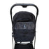 welsoon 2 Pack Pram Sit Up Strap for Stroller Universal Sit Me Up Straps Upright Pram Seat Sit Up Strap for Babyzen