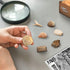 Byncceh Fossil Dig Kit - Educational STEM Science Toys for Kids Ages 6+ - Dig Up 12 Real Fossils & Dinosaur Bones
