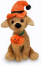 Plushland Halloween Pawpals - 8 Inch Puppy Dog Plush Toy with Hat and Jack O Lantern
