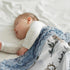 30 40 Inch Baby Blankets for Boys and Girls, Deer Super Soft Nursery Minky Blanket for Newborn Baby, Double Layer