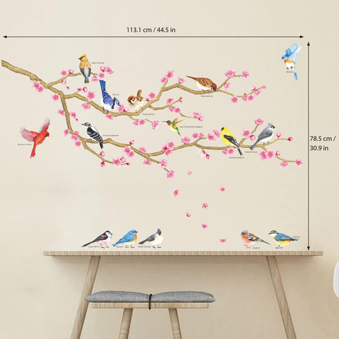 DECOWALL DWL-2009 Garden Birds and Cherry Blossom Wall Stickers, Peel and Stick Removable Decals for Kids Nursery &