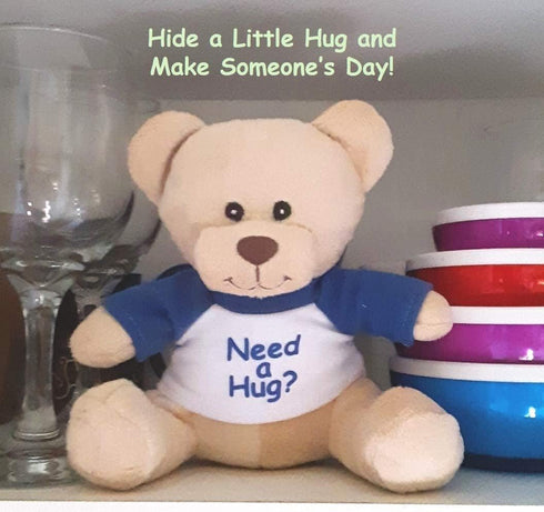 Super Cute and Cuddly 6 Inch Plush Mini Teddy Bear with Need a Hug? Message T-Shirt, Great for Gift Baskets