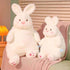 ARELUX 22in Large Bunny Plush Stuffed Animal Hugging Pillow - Soft Giant Fluffy Pillow for Friends Dormitory