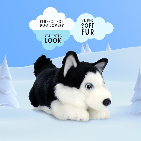 11" Aurora World Miyoni Black Lying Husky Plush - Super Soft Realistic Stuffed Animal Toy