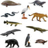11 Set 3+ Safari Ltd. Everglades TOOB - Mini Figurines: Manatee, Alligator, Turtle & More - Educational Toy for Boys